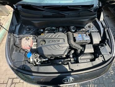 срочно продаю в связи с переездом: Kia Seltos: 2020 г., 1.6 л, Робот, Дизель, Кроссовер — 20