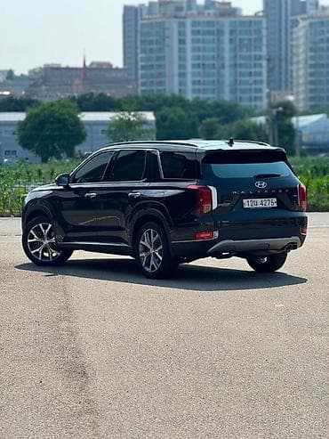 byd leopard 8: Hyundai Palisade: 2019 г., 2.2 л, Автомат, Дизель, Кроссовер — 3