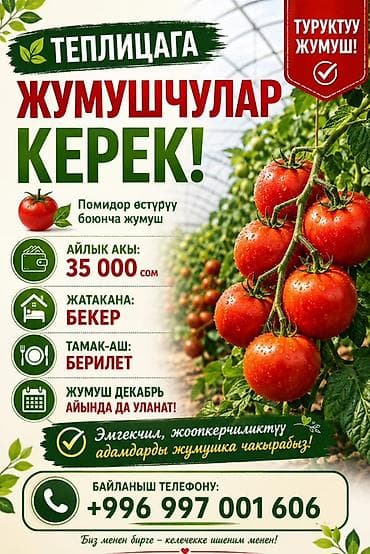 Работа: Требуется Сборщик урожая, Оплата: Ежемесячно, Питание — 1