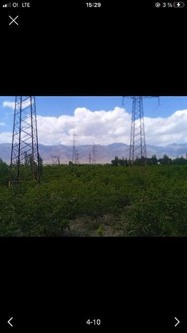 Жер тилкелери: 100 соток — 3