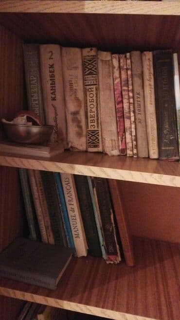 Книги и журналы: Классика, На русском языке — 4