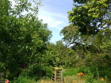 пол дома пишпек: Дом, 200 м², 10 комнат, Собственник — 3