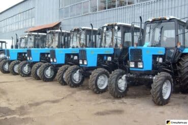 порода бык: Продаю | Бык (самец) — 1