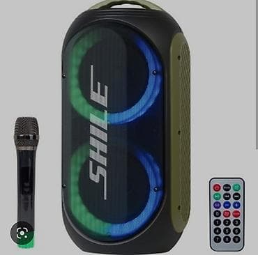 радио колонки: Аренда колонки Наименование SHILE — 1