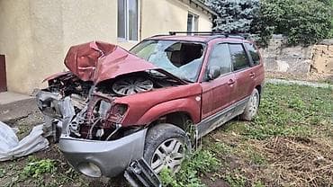 Продажа авто: Subaru Forester: 2004 г., 2 л, Автомат, Бензин, Универсал — 1