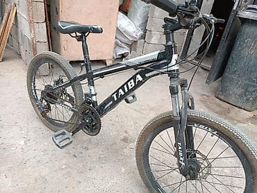 велосипед скаросной: Городской велосипед, Рама XS (130 -155 см), Б/у — 1