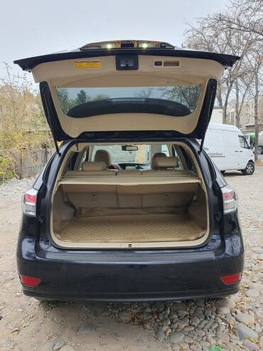 опрыскиватель садовый бензиновый: Lexus RX: 2009 г., 3.5 л, Автомат, Бензиновая, Кроссовер — 4