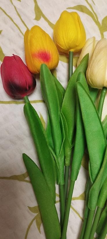 лук цена бишкек 2023: Продаю искусственные тюльпаны из Германии, новые 500 сом штука — 2