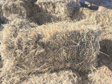 Иттер: Сено овсюг — 1