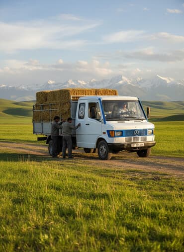 бу запчасти на мерседес в бишкеке: Грузовик, Mercedes-Benz, Дубль, 5 т, Б/у — 1