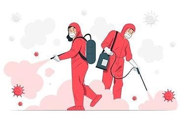 Клининговые услуги: Дезинфекция, дезинсекция, | Вирусы, микробы, Обработка деревьев, Блохи, | Дворы, Дома, Транспорт — 1