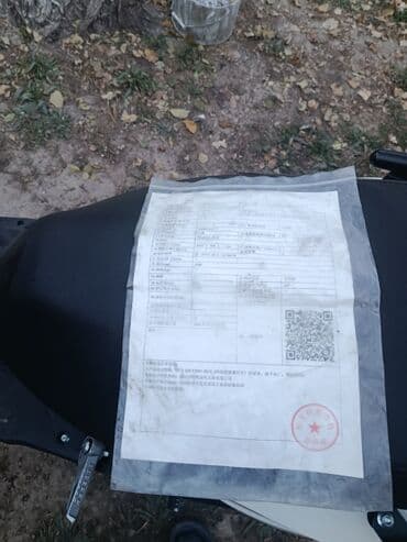 мото электричиский: На ходу без вложения пробег 2500км — 5