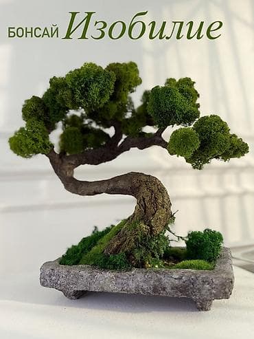 Миниатюрные ДЕРЕВЬЯ Бонсай из стабилизированного мха — это стильная