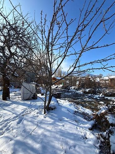 нижний ала арча: 5 соток, Для бизнеса, Красная книга — 2