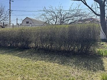 Уголь: Декор для дома и сада, Декоративный забор, Самовывоз — 5