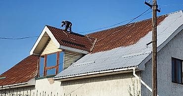 Окна на заказ: Покраска стен, Покраска потолков, Покраска окон, На масляной основе, На водной основе, 1-2 года опыта — 3