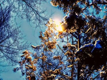 sony: Sony Xperia Pro-I, Б/у, 512 ГБ, цвет - Черный, 2 SIM — 10