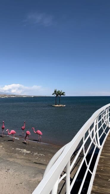 ремонт ванной комнаты: Коттедж, коттедж ЦО Palm Beach, Чок-Тал, Детская площадка, Парковка, стоянка, Охраняемая территория — 13