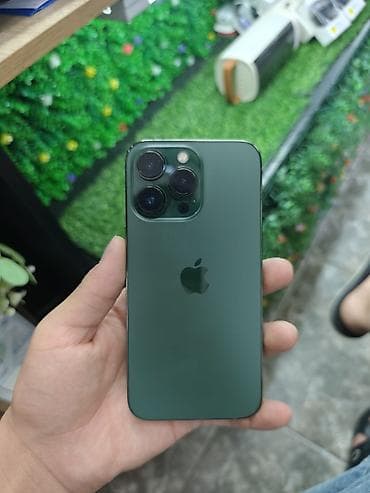 IPhone 13 Pro, Б/у, 256 ГБ, Alpine Green, Зарядное устройство, 76 %