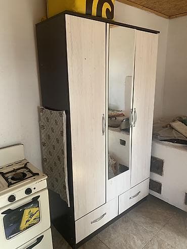 деский шкаф: Шкаф-купе/распашной модуль с зеркалом - Корпус: ЛДСП тёмного цвета — 3