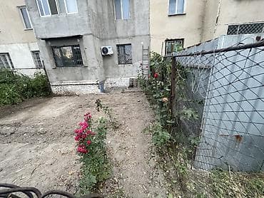 половой лес: Самовывоз — 9