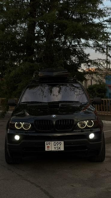 BMW X5: 2004 г., 3 л, Автомат, Дизель, Кроссовер