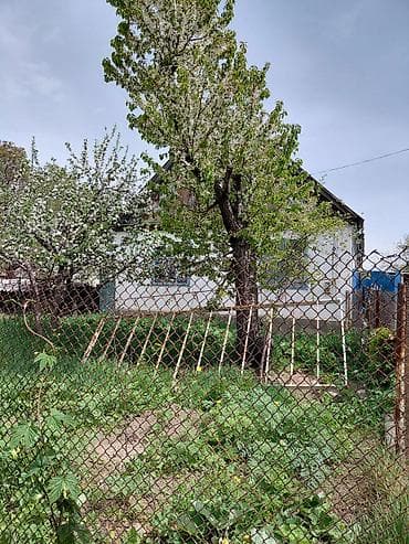 жилой дом сузак: Дом с участком - Отдельно стоящий одноэтажный дом с мансардой. Крыша — 2