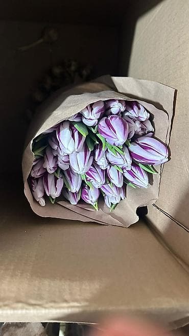 бумага для букетов: Тюльпаны срезанные, в крафт-упаковке. - Разновидности и окраски — 5