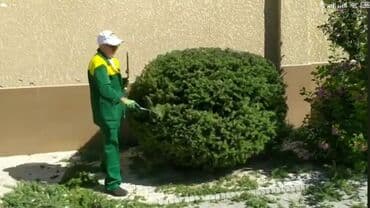 сколько стоит обучение на маникюр: Сделали ландшафтный дизайн? Нужно поддерживать его в идеальном — 11