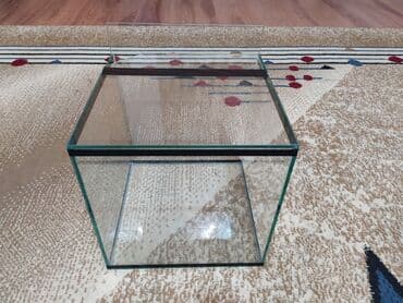 аквариум с крышкой: Новый аквариум со стеклянной крышкой — 1