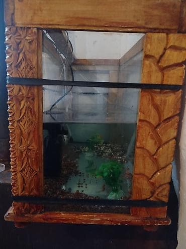 купить аквариум бишкек: Аквариум с резным деревянным каркасом - Стеклянный аквариум — 2