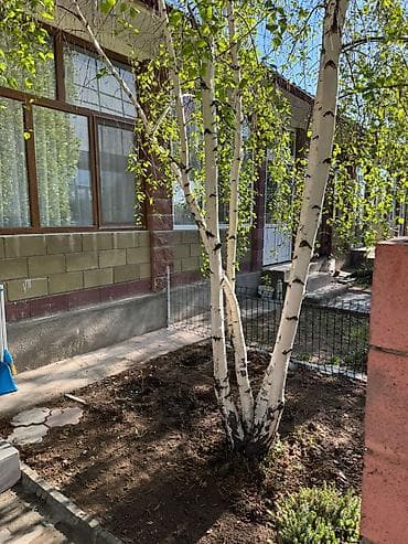 газ в дом: Сдается уютный 2-ком. мини коттедж в селе Бостери на территории — 9