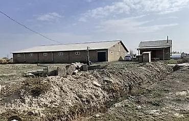 фермер: 15 соток Для сельского хозяйства, Электричество, Водопровод — 1