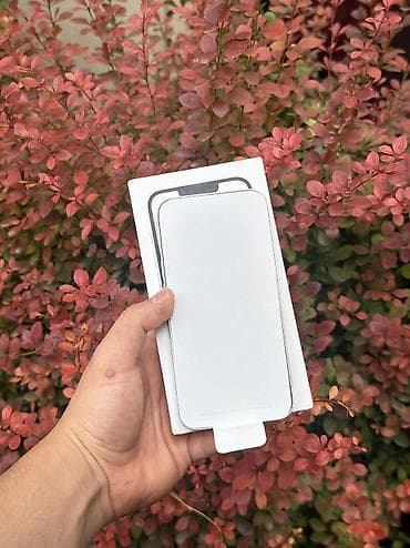 9 дюйм: IPhone 16e, Жаңы, 128 ГБ, White Titanium, Заряддоочу түзүлүш, Куту, 100 % — 7