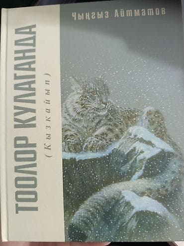 Роман, На кыргызском языке, Новый, Самовывоз — 1