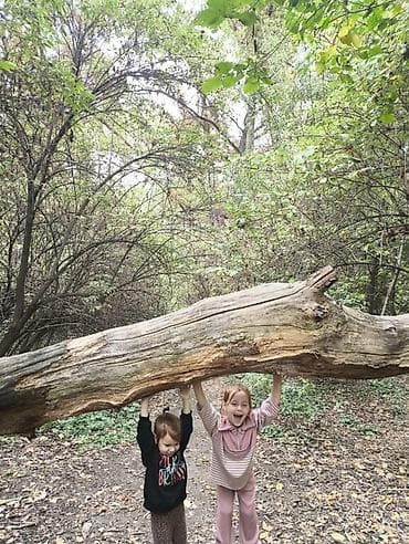 i5 4460: Процессор, Б/у, 2 ядер, Для ПК — 5