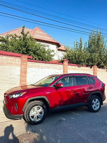 Toyota RAV4: 2019 г., 2.5 л, Автомат, Гибрид, Внедорожник — 1
