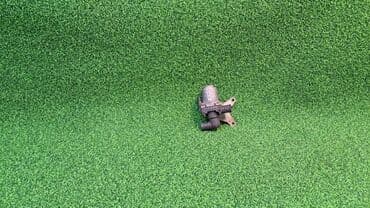 запчасти на бмв е39 в бишкеке: Клапана печки Е53 1 147 412 Год 2001 В отличном состоянии, очень — 1