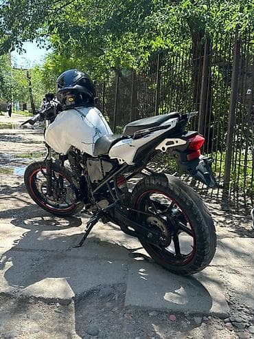 ох 300: Спортбайк Stels, 300 куб. см, Бензин, Взрослый — 6