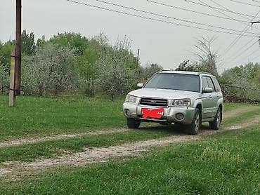 subaru forester2000: Subaru Forester: 2003 г., 2 л, Автомат, Бензин, Кроссовер — 5
