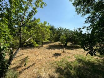 бишкек продаю дом село нижний алаарча: 37 соток, Курулуш, Белек келишими, Кызыл китеп — 4