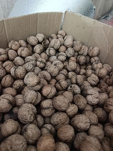 Грецкий орех в скорлупе - Натуральные цельные орехи, калибр разный, в