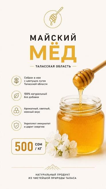 молочные продукты: Майский мёд — Таласская область - Собран в мае с цветущих лугов — 1