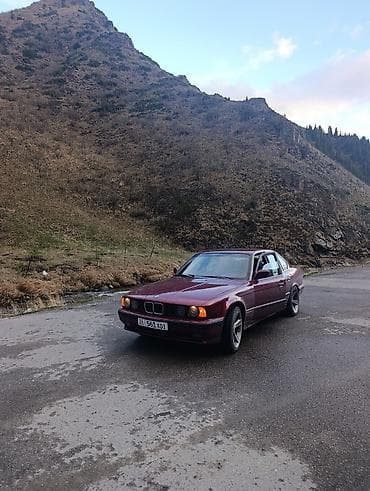 BMW 5 series: 1991 г., 2.5 л, Механика, Бензин, Седан