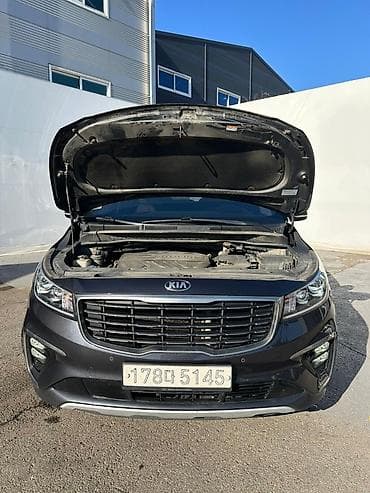 света: Kia Carnival: 2020 г., 2.2 л, Автомат, Дизель, Минивэн — 9