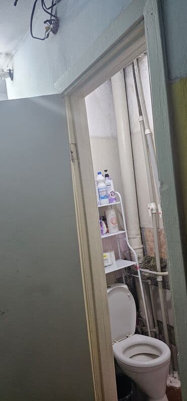 готовый газон: Количество комнат:1комната Площадь:16м2 Этаж:2 Серия:Общежитие Этаж в — 6