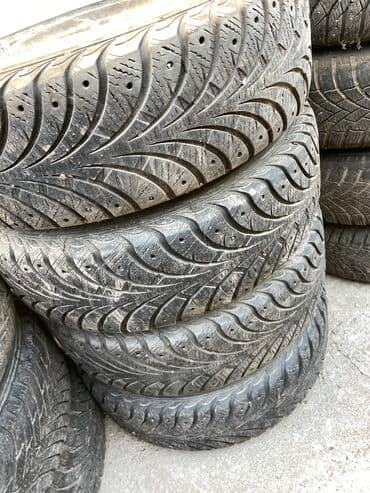 шины на рекс: Шины — 11