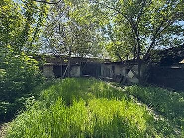 Жер тилкелери: 5 соток, Бизнес үчүн, Кызыл китеп, Техпаспорт — 4