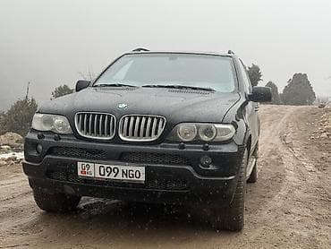 e 30 bmw: BMW X5: 2006 г., 4.4 л, Автомат, Газ, Кроссовер — 1