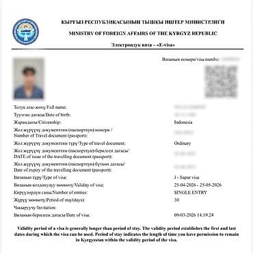 билет в турцию: Визы в Кыргызстан, США, Японию и Шенген. Помогаю с оформлением виз в — 9